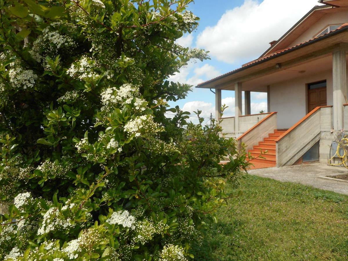 Poggio Fiorito Apartment Кастилион Фиорентино Екстериор снимка