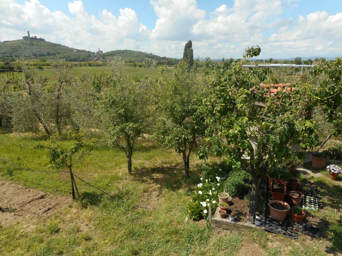 Poggio Fiorito Apartment Кастилион Фиорентино Екстериор снимка