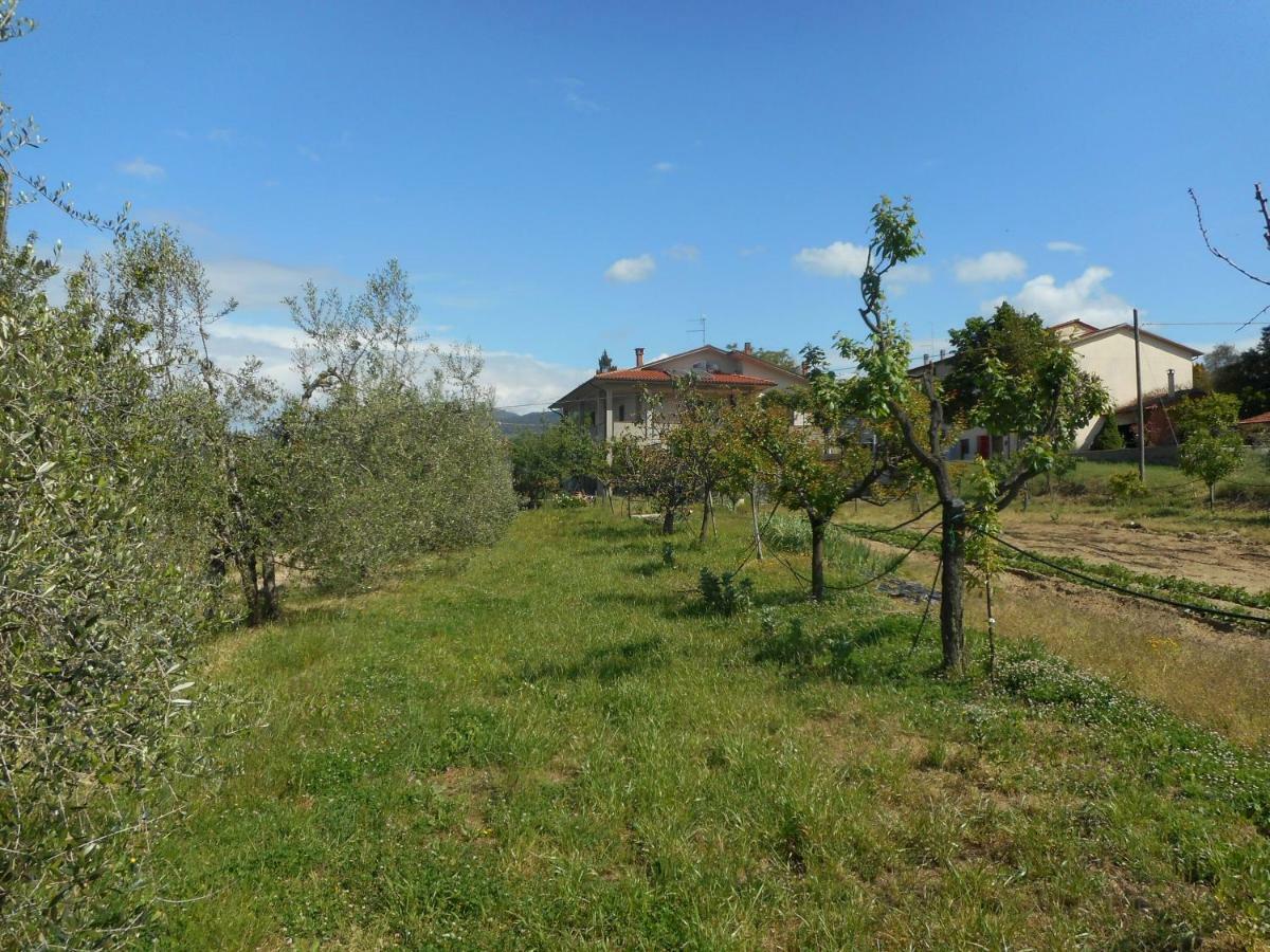 Poggio Fiorito Apartment Кастилион Фиорентино Екстериор снимка